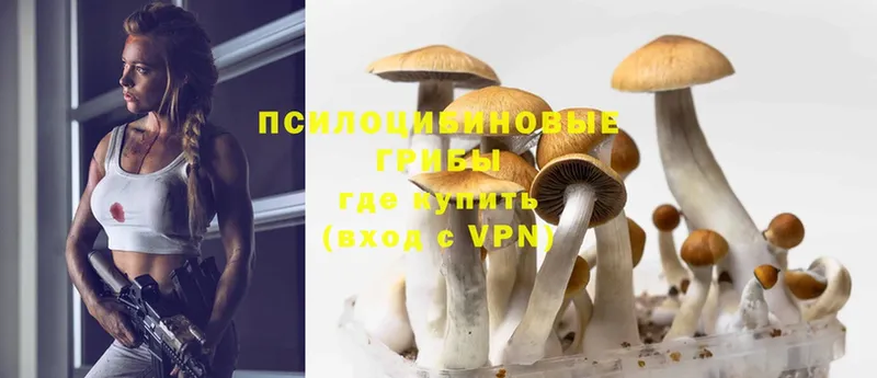 наркота  Белокуриха  MEGA ТОР  Галлюциногенные грибы Cubensis 